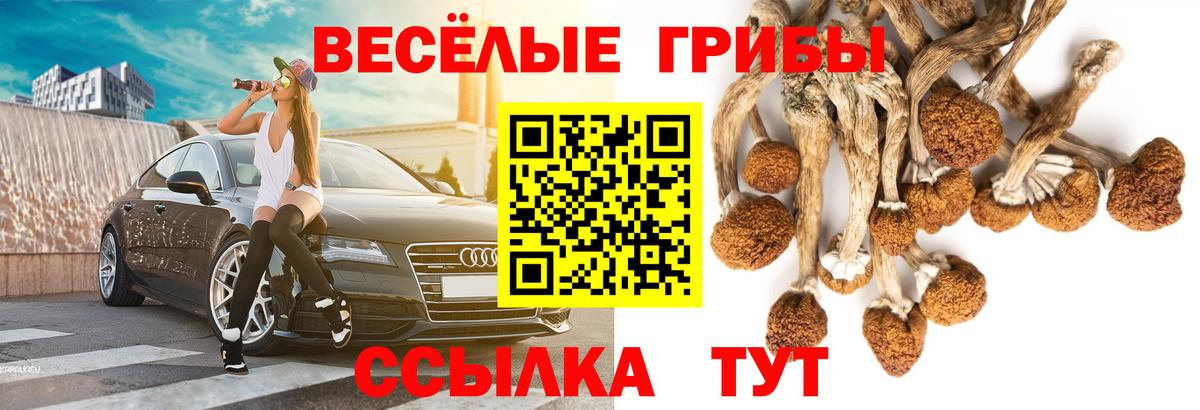 Галлюциногенные грибы ЛСД Урюпинск