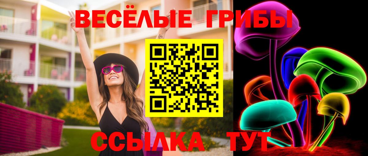 Урюпинск  Псилоцибиновые грибы MAGIC MUSHROOMS  Псилоцибиновые грибы прущие грибы  Вход с VPN 